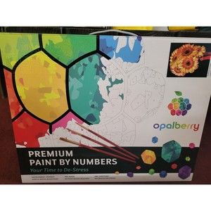 Paint by Numbers for Adults, Paint-by-Number Kits